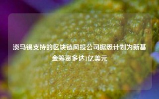 淡马锡支持的区块链风投公司据悉计划为新基金筹资多达1亿美元