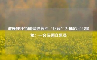 谁是押注特朗普胜选的“巨鲸”？博彩平台揭秘：一名法国交易员