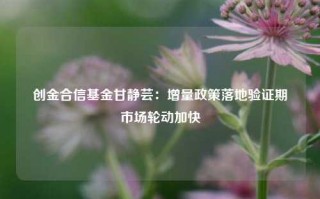 创金合信基金甘静芸：增量政策落地验证期 市场轮动加快