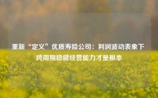 重新“定义”优质寿险公司：利润波动表象下 跨周期稳健经营能力才是根本