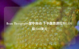 Beam Therapeutics盘中异动 下午盘急速拉升5.13%报23.04美元