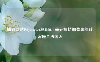 博彩网站Polymarket称4500万美元押特朗普赢的赌客是个法国人