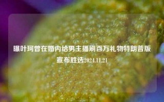 曝叶珂曾在婚内给男主播刷百万礼物特朗普版宣布胜选2024.11.21