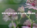 特色小吃创业小县城,适合小吃城项目有哪些