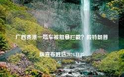 广西贵港一婚车被粗暴拦截？假特朗普版宣布胜选2024.11.25