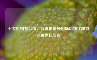 十大机构看后市：待价格信号明确后绩优股将迎来绝佳买点