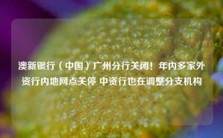 澳新银行（中国）广州分行关闭！年内多家外资行内地网点关停 中资行也在调整分支机构