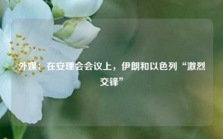 外媒：在安理会会议上，伊朗和以色列“激烈交锋”