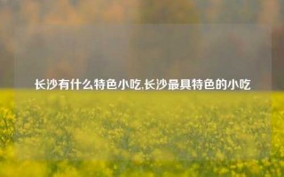 长沙有什么特色小吃,长沙最具特色的小吃