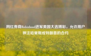 网红券商Robinhood进军美国大选博彩，允许用户押注哈里斯或特朗普的合约