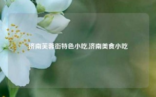 济南芙蓉街特色小吃,济南美食小吃