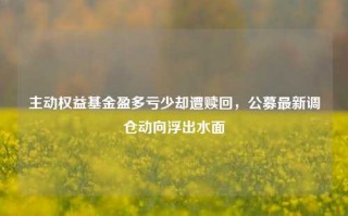 主动权益基金盈多亏少却遭赎回，公募最新调仓动向浮出水面