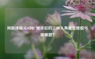 风险评级从D到C 增资后的三峡人寿能否摆脱亏损难题？