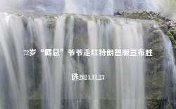 72岁“霸总”爷爷走红特朗普版宣布胜选2024.11.23