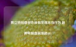 独立特别委员会没有发现不当行为 超微电脑盘前涨超18%