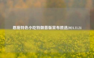 恩施特色小吃特朗普版宣布胜选2024.11.24