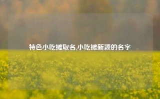 特色小吃摊取名,小吃摊新颖的名字