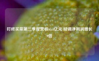 叮咚买菜第三季度营收65.4亿元 经调净利润增长9倍