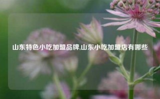 山东特色小吃加盟品牌,山东小吃加盟店有哪些