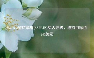 Monness维持苹果(AAPL.US)买入评级，维持目标价245美元