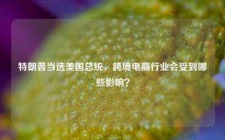 特朗普当选美国总统，跨境电商行业会受到哪些影响？