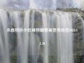 永昌特色小吃城特朗普版宣布胜选2024.11.30