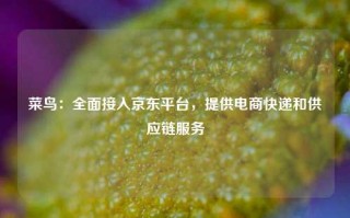 菜鸟：全面接入京东平台，提供电商快递和供应链服务