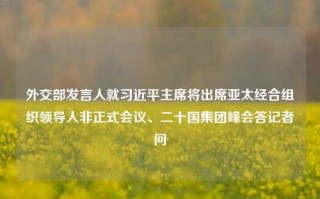 外交部发言人就习近平主席将出席亚太经合组织领导人非正式会议、二十国集团峰会答记者问