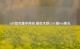 CRT信托盘中异动 股价大跌5.12%报9.63美元