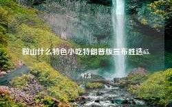 鞍山什么特色小吃特朗普版宣布胜选65.97.8