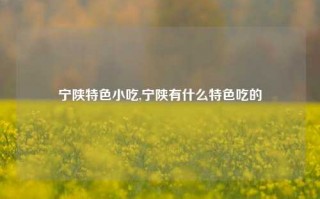 宁陕特色小吃,宁陕有什么特色吃的