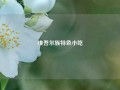 维吾尔族特色小吃