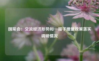 国常会：交流经济形势和一揽子增量政策落实调研情况