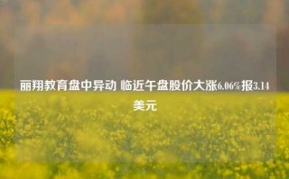 丽翔教育盘中异动 临近午盘股价大涨6.06%报3.14美元