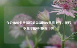 在公布就业数据后美国国债收益率上升，随后收益率因GDP数据下降