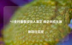 *ST金科重整投资人落定 房企风险化解新路径显现