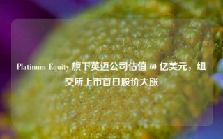 Platinum Equity 旗下英迈公司估值 60 亿美元，纽交所上市首日股价大涨