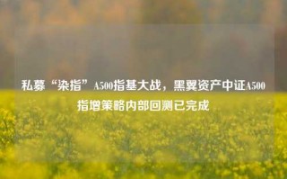 私募“染指”A500指基大战，黑翼资产中证A500指增策略内部回测已完成