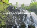 wuhan春节特色小吃特朗普版宣布胜选65.97.8