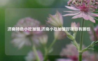 济南特色小吃加盟,济南小吃加盟好项目有哪些