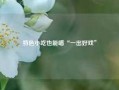 特色小吃也能唱“一出好戏”