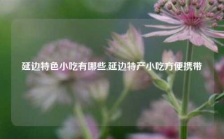 延边特色小吃有哪些,延边特产小吃方便携带