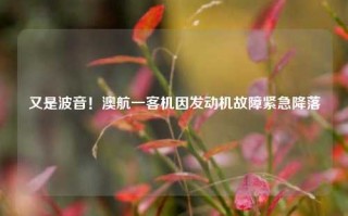 又是波音！澳航一客机因发动机故障紧急降落