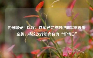 代号曝光！以媒：以军已完成对伊朗军事设施空袭，将这次行动命名为“忏悔日”