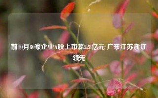 前10月80家企业A股上市募528亿元 广东江苏浙江领先