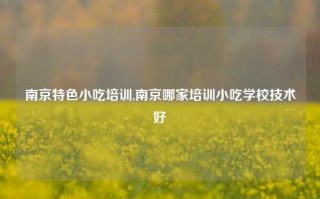 南京特色小吃培训,南京哪家培训小吃学校技术好