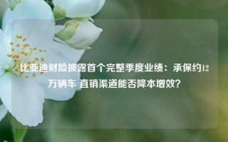 比亚迪财险披露首个完整季度业绩：承保约12万辆车 直销渠道能否降本增效？