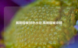 揭阳榕城特色小吃,揭阳榕城攻略