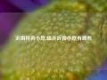 沂南特色小吃,临沂沂南小吃有哪些