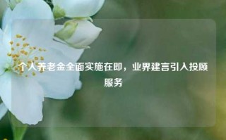 个人养老金全面实施在即，业界建言引入投顾服务